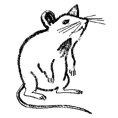 Maus Willi Wühlberg -Freihand Spühdose in Paint-