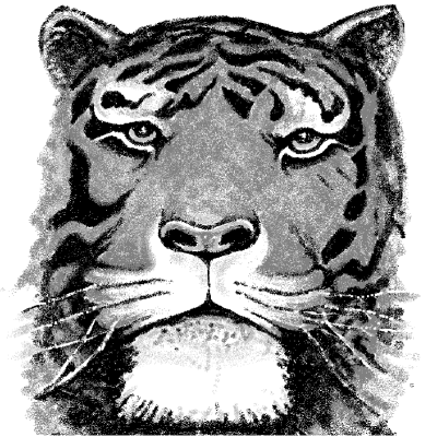 Tiger -Freihand Sprühdose in Paint-